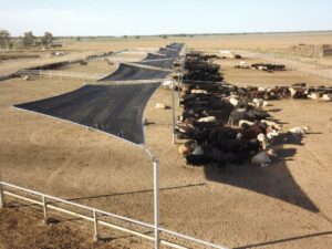 Livestock Static Shade System