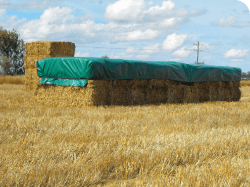 Hay Protection