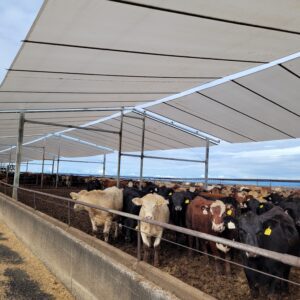 Livestock Waterproof Shelter Structure