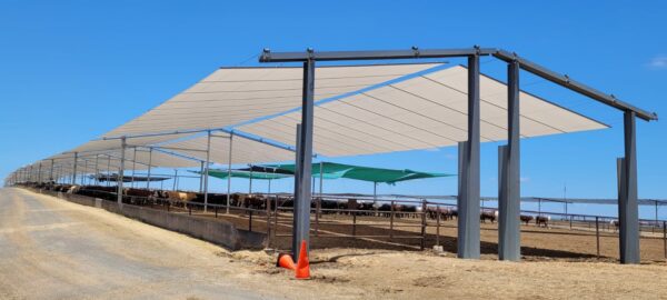 Livestock Waterproof Shelter Structure