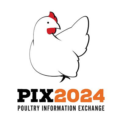 pix2024-logo