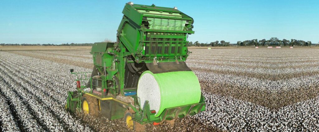 Cotton picker collecting harvest into Polytex cotton wrap